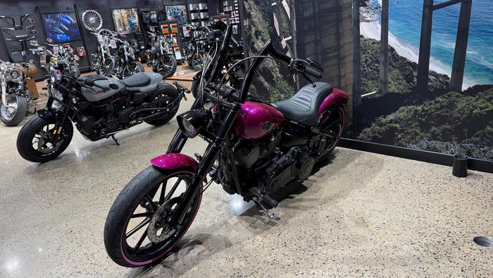 2013 Harley-Davidson Breakout 103 (FXSB) Softail Pink