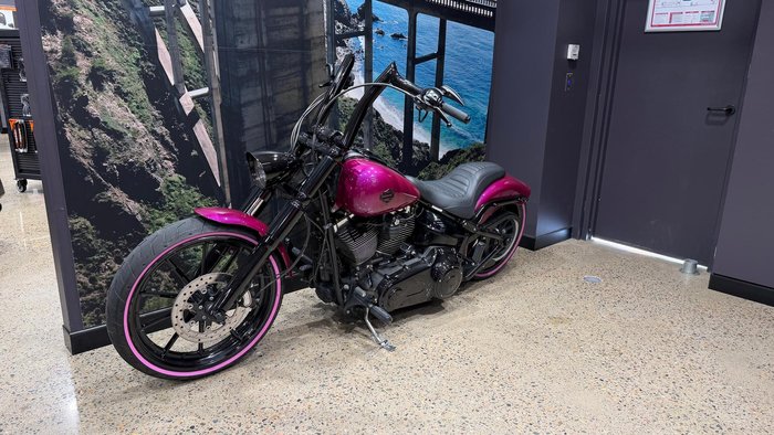 2013 Harley-Davidson Breakout 103 (FXSB) Softail Pink