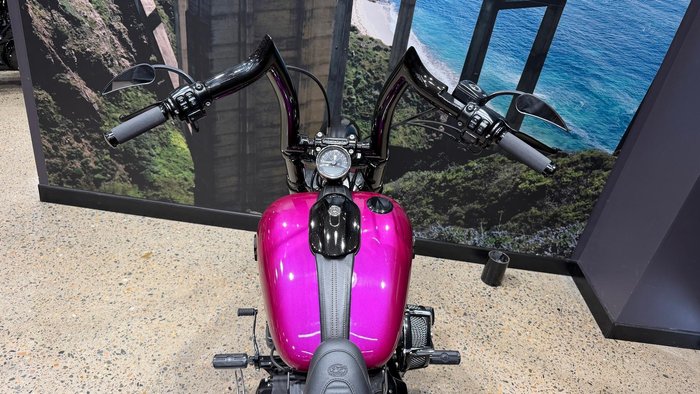 2013 Harley-Davidson Breakout 103 (FXSB) Softail Pink