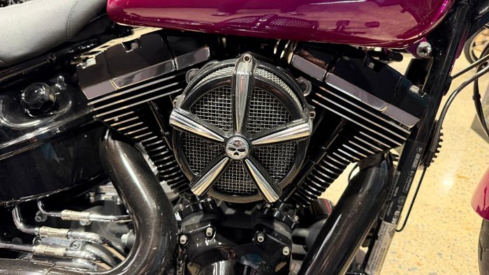 2013 Harley-Davidson Breakout 103 (FXSB) Softail Pink