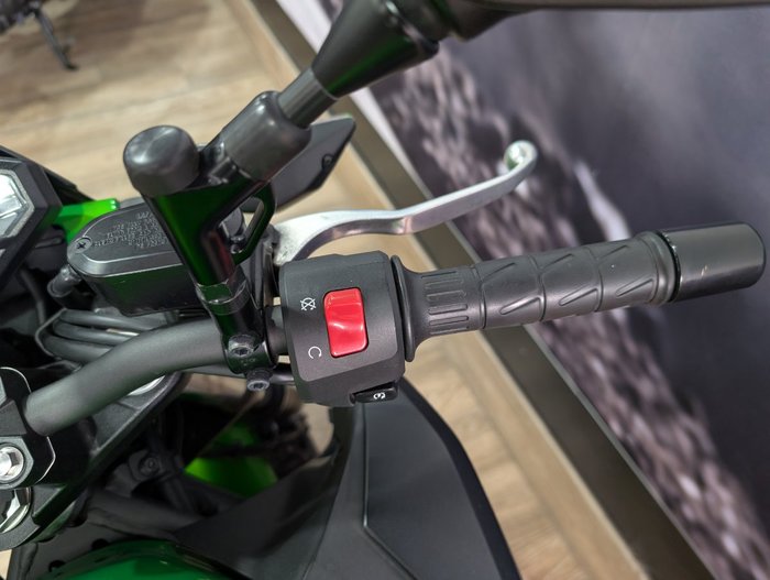 2025 Kawasaki Z500 GREEN