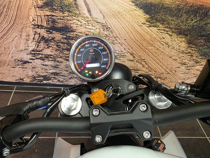 2024 HARLEY-DAVIDSON HD350-10 H-DX X350 SILVER