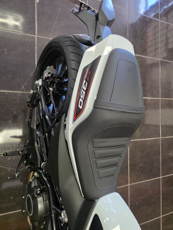 2024 HARLEY-DAVIDSON HD350-10 H-DX X350 SILVER