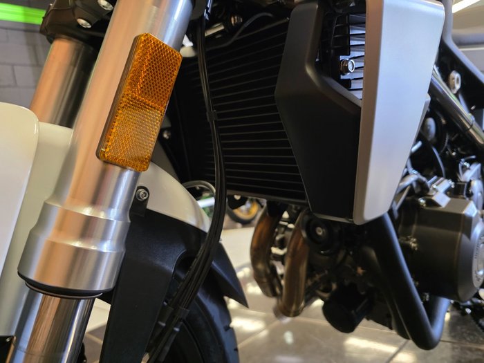 2024 HARLEY-DAVIDSON HD350-10 H-DX X350 SILVER