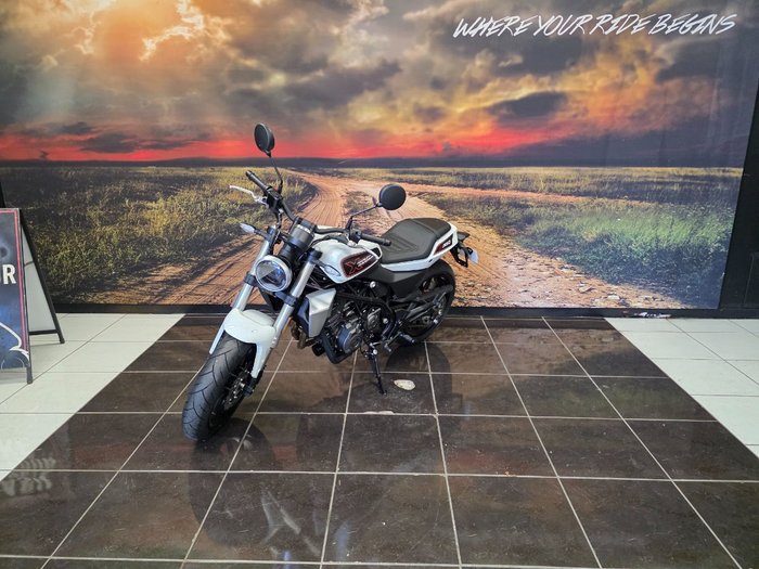 2024 HARLEY-DAVIDSON HD350-10 H-DX X350 SILVER