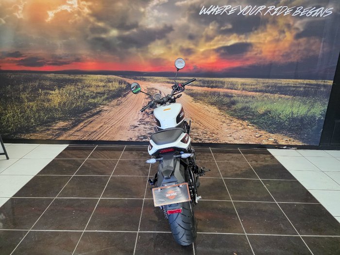 2024 HARLEY-DAVIDSON HD350-10 H-DX X350 SILVER