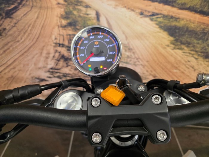 2024 HARLEY-DAVIDSON HD350-10 H-DX X350 WHITE