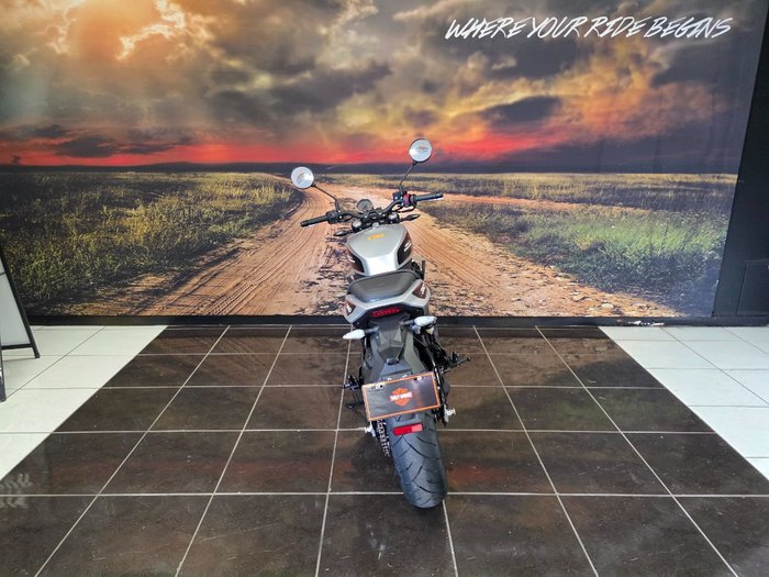 2024 HARLEY-DAVIDSON HD350-10 H-DX X350 WHITE