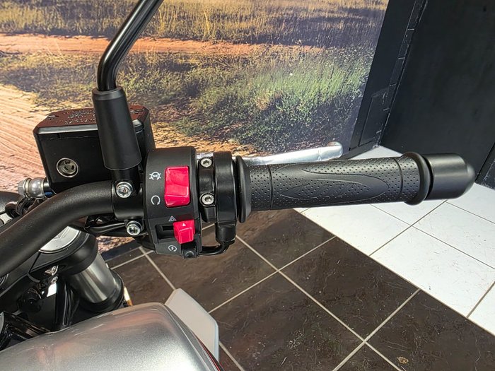 2024 HARLEY-DAVIDSON HD350-10 H-DX X350 SILVER