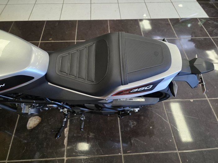 2024 HARLEY-DAVIDSON HD350-10 H-DX X350 SILVER