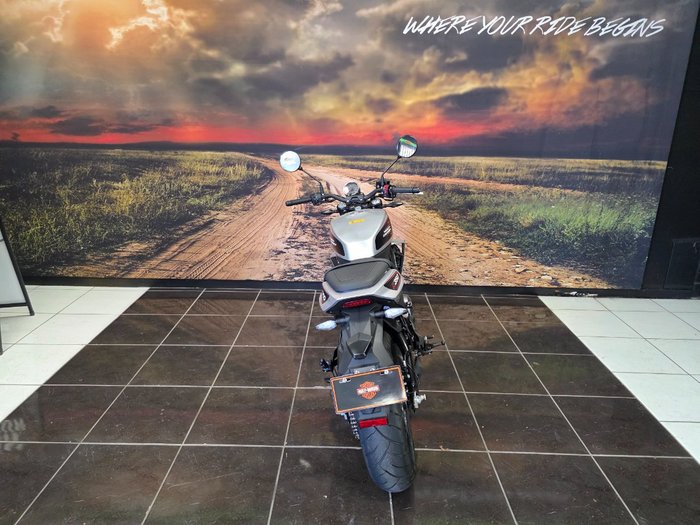 2024 HARLEY-DAVIDSON HD350-10 H-DX X350 SILVER