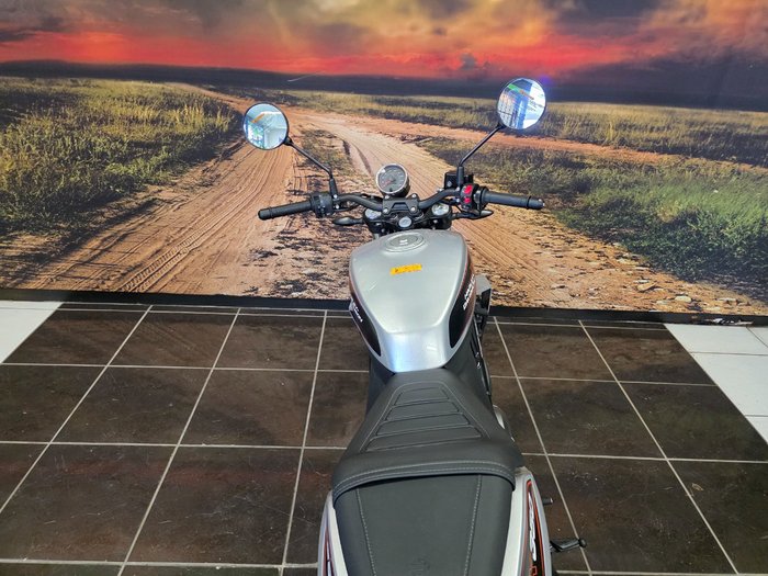2024 HARLEY-DAVIDSON HD350-10 H-DX X350 SILVER