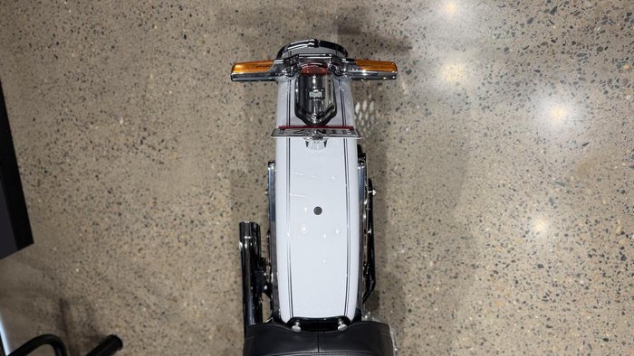2020 Harley-Davidson Deluxe 107 (FLDE) Softail White