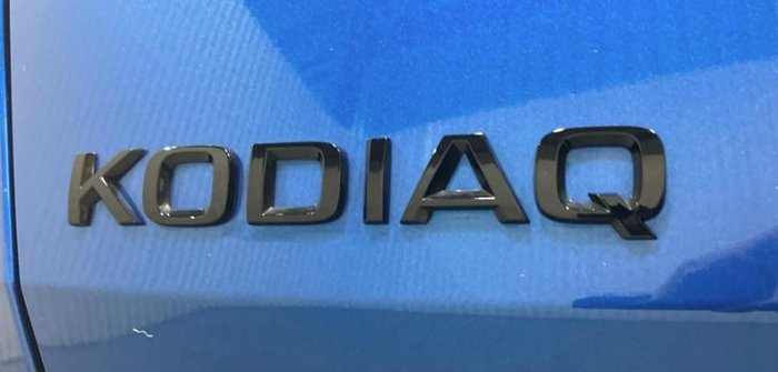 2024 SKODA Kodiaq RS