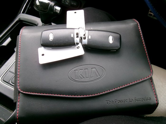 2016 Kia Sorento Platinum