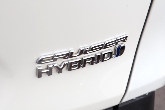 2019 Toyota RAV4 Cruiser
