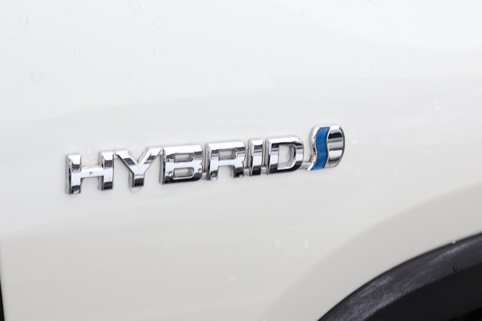 2019 Toyota RAV4 Cruiser