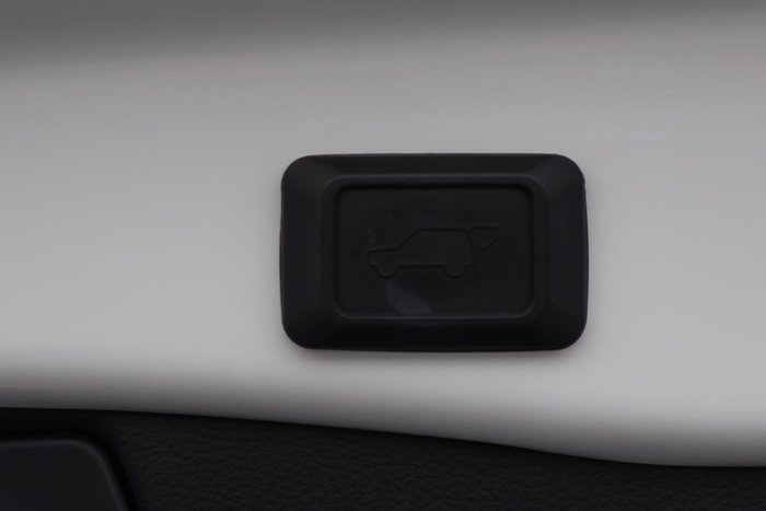 2019 Toyota RAV4 Cruiser