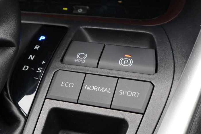 2019 Toyota RAV4 Cruiser