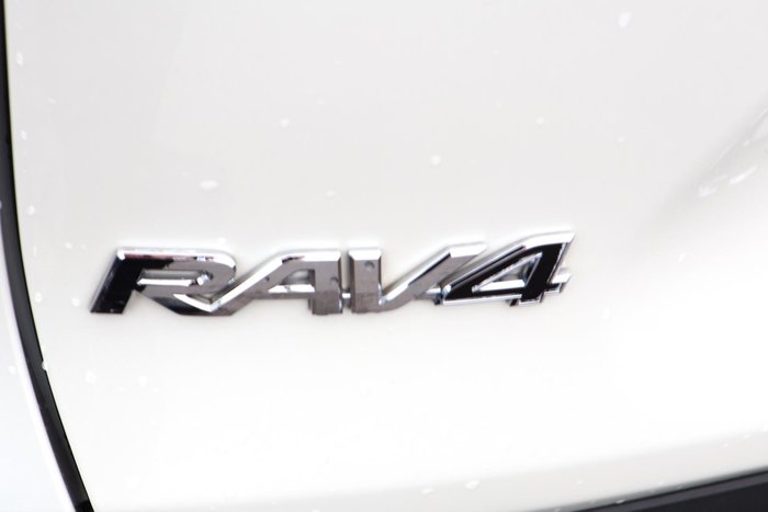 2019 Toyota RAV4 Cruiser