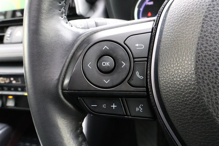 2019 Toyota RAV4 Cruiser