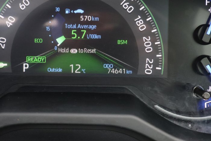 2019 Toyota RAV4 Cruiser