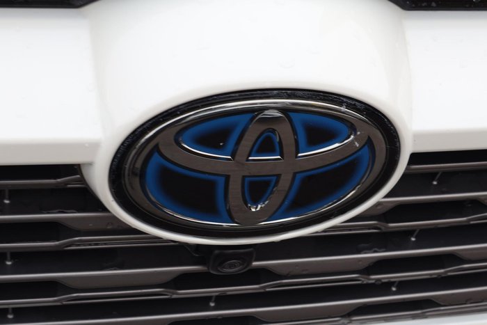 2019 Toyota RAV4 Cruiser