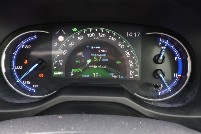 2019 Toyota RAV4 Cruiser