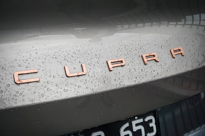 2025 CUPRA Tavascan Endurance