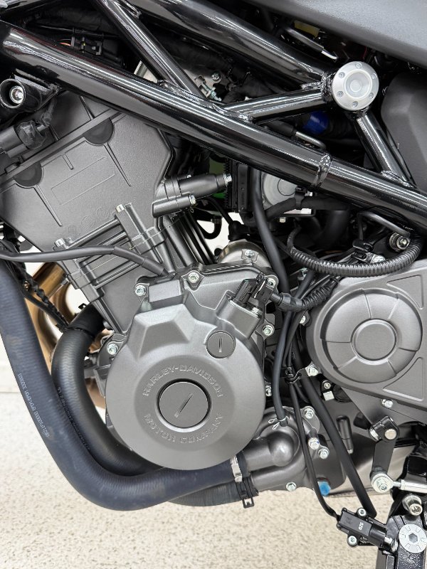 2024 Harley-davidson HD350-10 H-DX X350 Orange