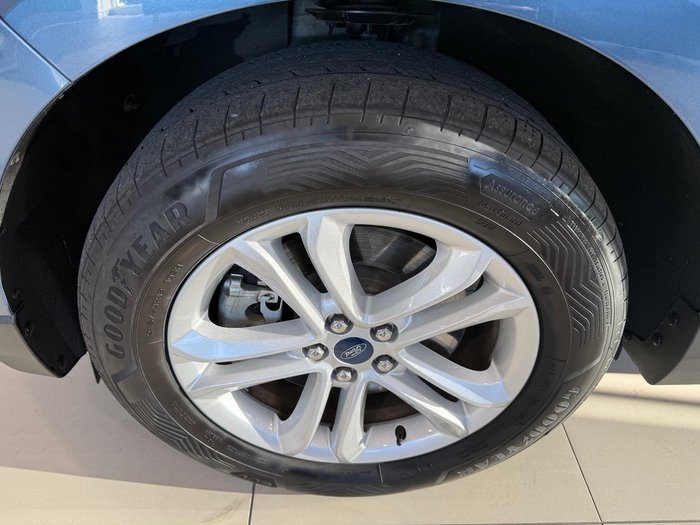 2019 Ford Endura Trend