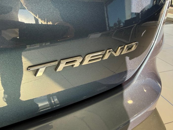 2019 Ford Endura Trend