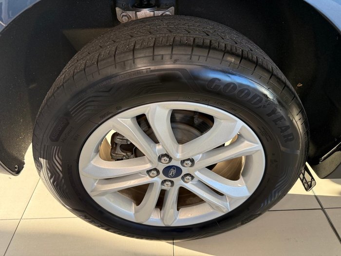 2019 Ford Endura Trend