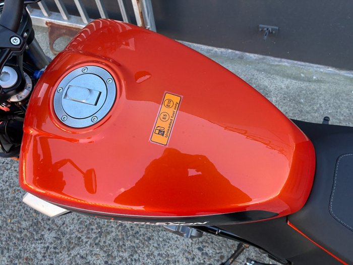 2024 HARLEY-DAVIDSON HD350-10 H-DX X350 ORANGE