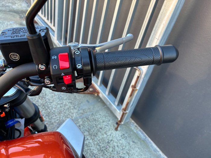 2024 HARLEY-DAVIDSON HD350-10 H-DX X350 ORANGE