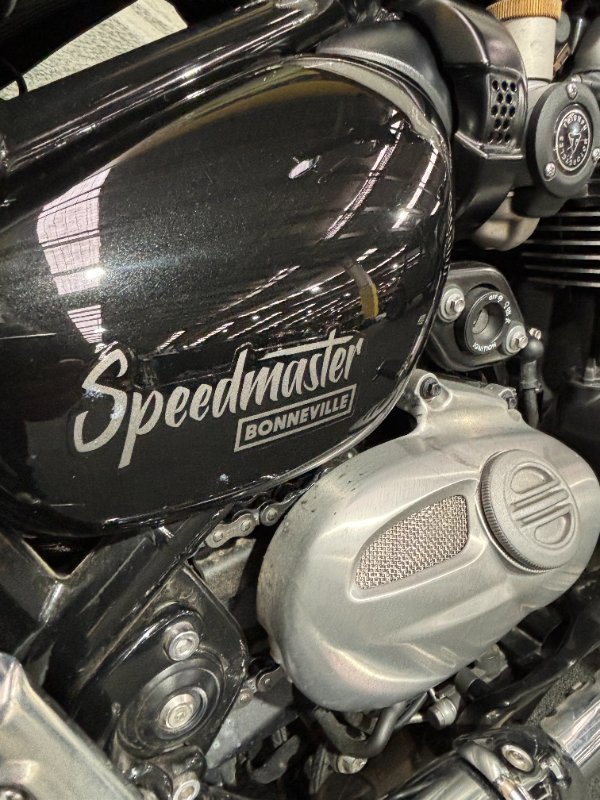 2022 Triumph BONNEVILLE SPEEDMASTER Black