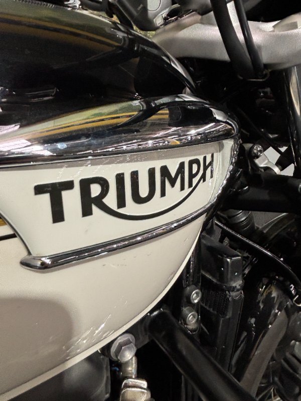 2022 Triumph BONNEVILLE SPEEDMASTER