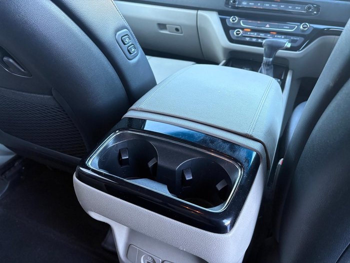 2019 Kia Carnival Platinum