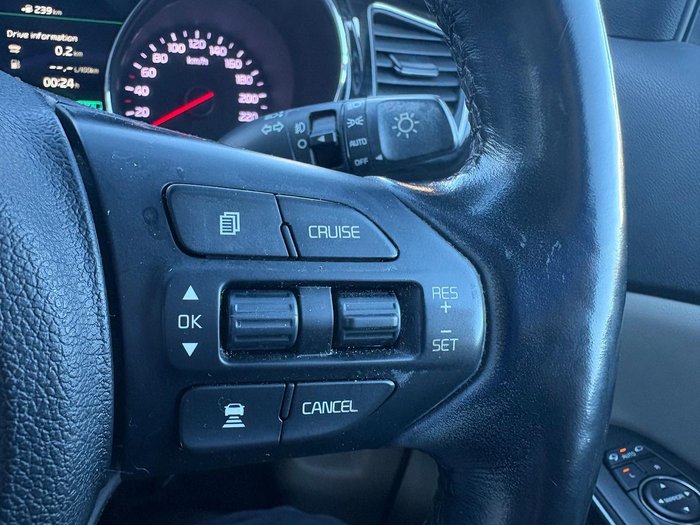 2019 Kia Carnival Platinum