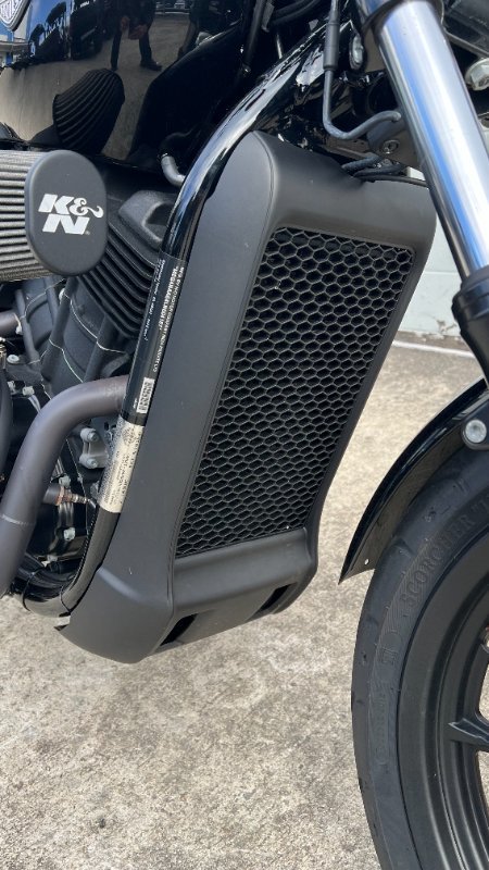 2020 HARLEY-DAVIDSON XG500 STREET 500 Black