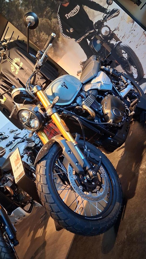 2026 Triumph