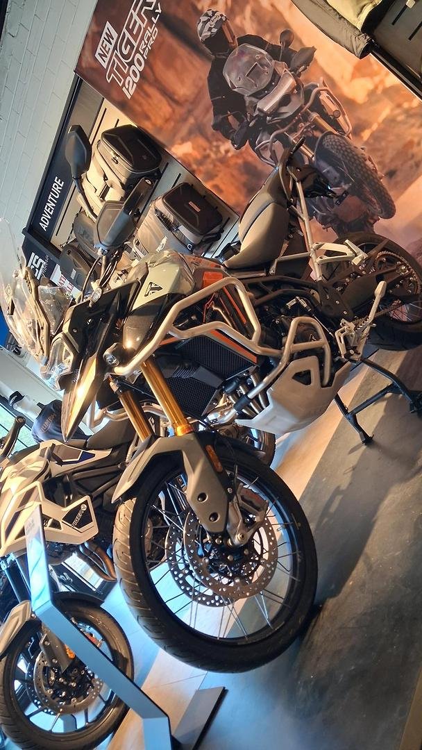 2026 Triumph