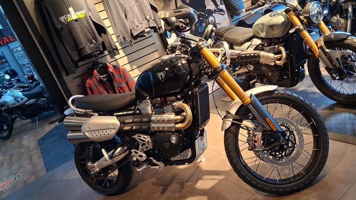 2026 Triumph
