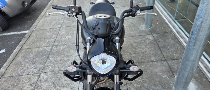 2024 Kawasaki EN650DSFNW