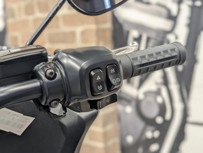 2026 Harley-Davidson Low Rider ST 117 (FXLRST) Softail