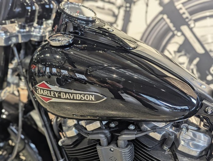 2021 Harley-Davidson Slim 107 (FLSL) Softail Black
