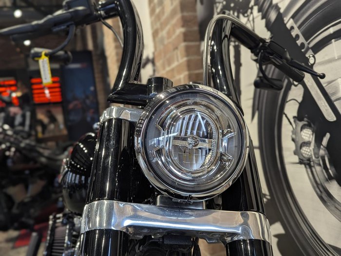 2021 Harley-Davidson Slim 107 (FLSL) Softail Black