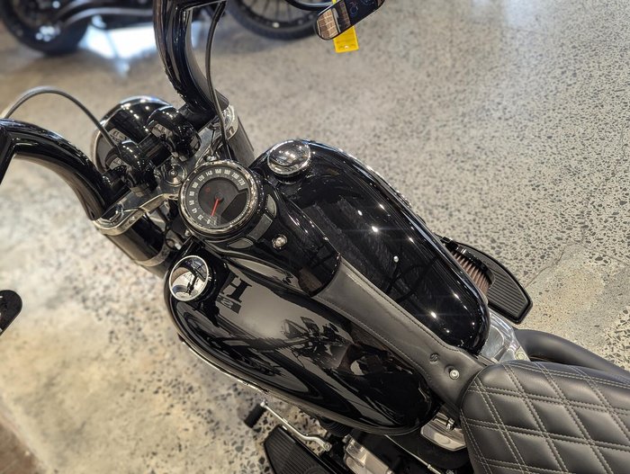 2021 Harley-Davidson Slim 107 (FLSL) Softail Black