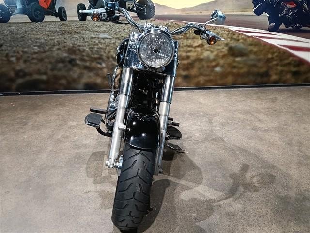 2015 Harley-Davidson Fat Boy 103 (FLSTF)