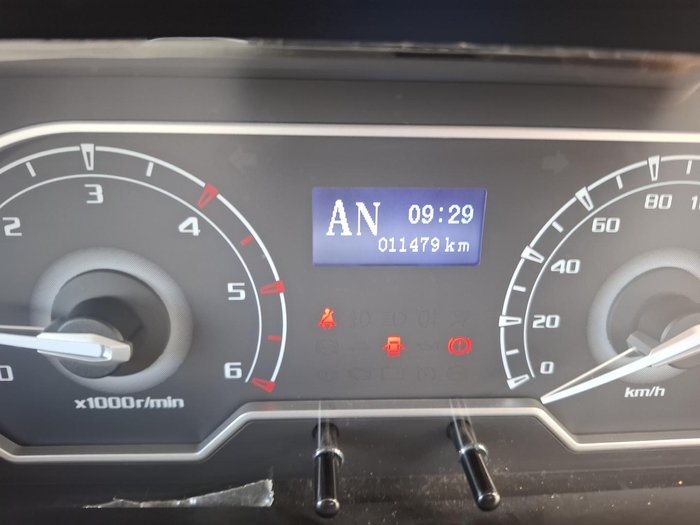 2024 LDV V80